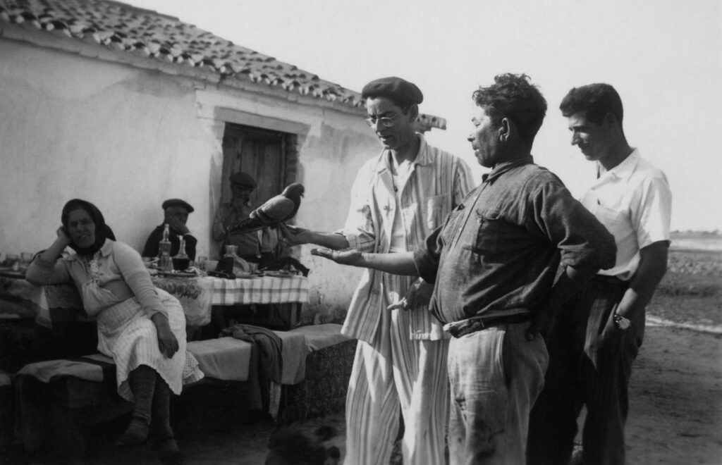 Peerless Pidgeon, Somewhere in Portugal, circa 1950's