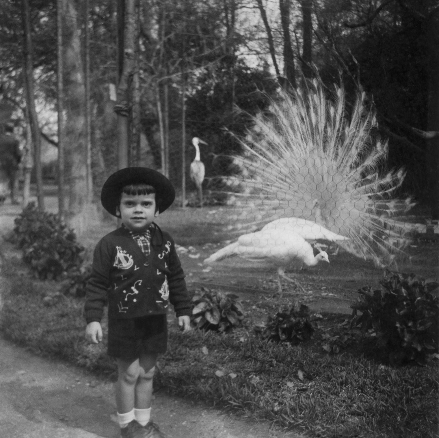 Two Boys in Fabulous Outfits