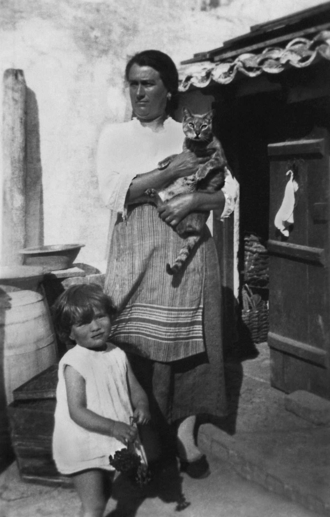 The Day the Cat Ate My Sardines