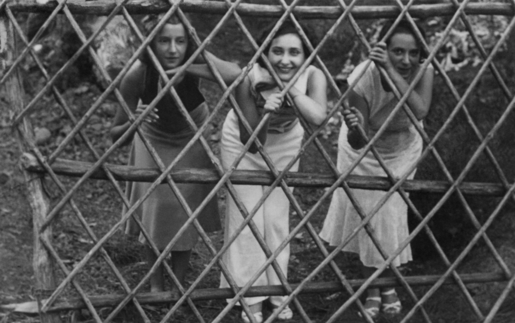 Album V: Let Us Out Now, Porto Santo, Madeira, 1935